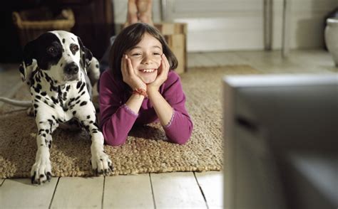 There are several instances where you may catch your puppy breathing rapidly. Do Dogs Actually Watch And React To Television? - Dogtime