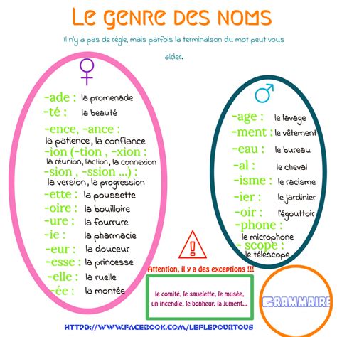 Le Genre Des Noms Apprendre Le Français Par Lart
