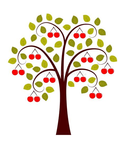 Cherry Tree Stock Vector Illustration Of Nature Grow 138119741