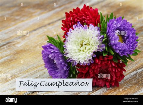 Feliz Cumpleanos Happy Birthday In Spanish With Colorful Aster Stock