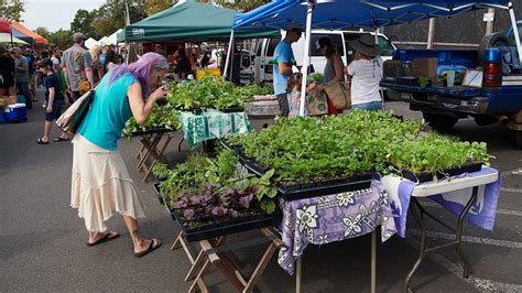 Locally Grown Food Markets On Maui Maui Farmers Market
