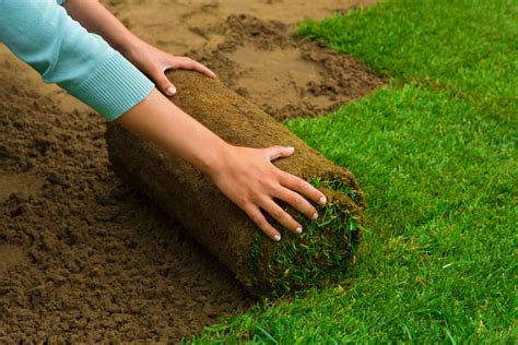 Sod Installation Tips To Get A Perfect Lawn Festival Du Making Of