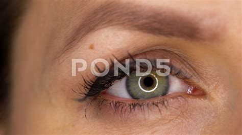 Macro Close-up eye blinking Stock Footage,#eye#Close#Macro#Footage | Close up, Eyes, Stock footage