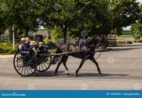 Amish Horse And Two Wheel Buggy Editorial Photo Image Of Pennsylvania