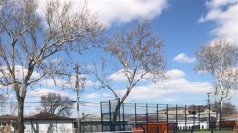 You can play in the park too. Rainey (Edward) Park | Chicago Park District