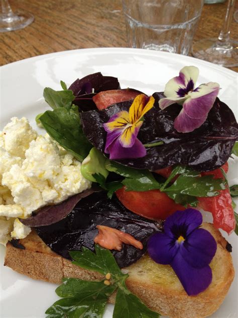 Check spelling or type a new query. Edible flower lunch | Edible flowers, Edible plants, Edible