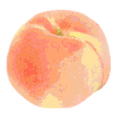 Peach Food Milk Aesthetics Fruit Peach Png Download 512512 Free