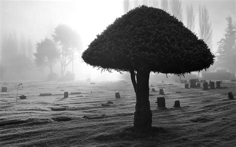 Hd Dark Horror Gothic Cemetary Grave Black White Spooky Creepy Lfog