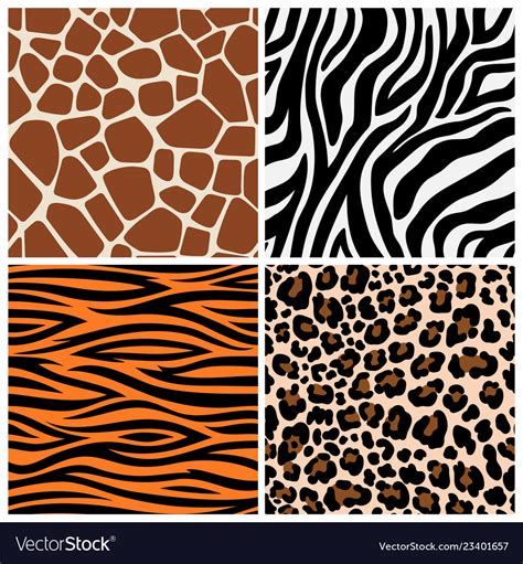 Zebra Giraffe And Leopard Patterns Royalty Free Vector Image