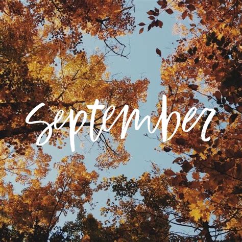 Hello September Wallpaper | September wallpaper, Hello september, Fall wallpaper