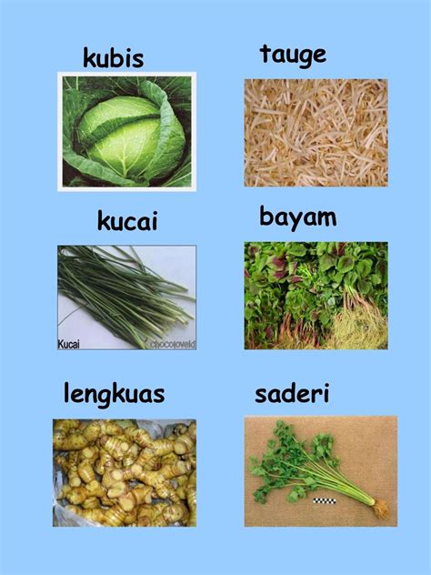 Pelbagai Jenis Sayur Sayuran