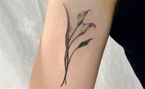 58 Blooming Calla Lily Tattoo Ideas To Rock In 2024