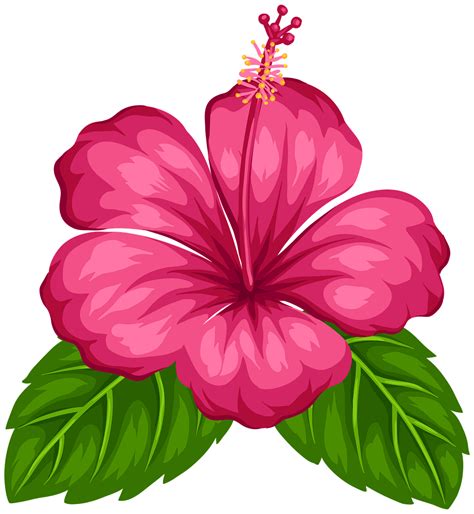 Pink Hibiscus Flower Free Image On Pixabay