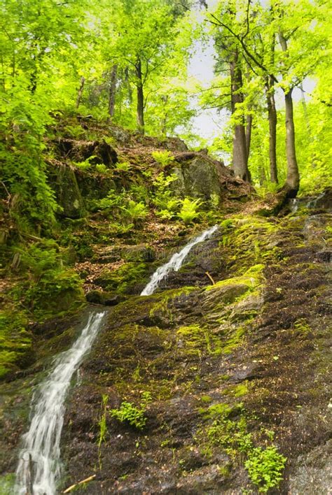 Waterfall In The Thuringian Forest Stock Photo Image Of Thuringian