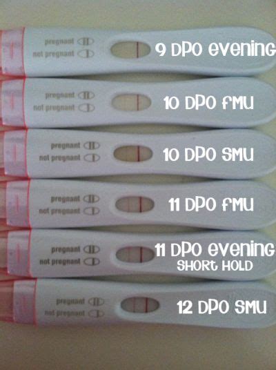 Negative Pregnancy Test 10 Dpo Pregnancy Symptoms