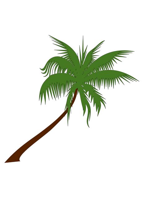 Buah Kelapa Png 16 Gambar Pohon Kelapa Untuk Logo Keren Coconut