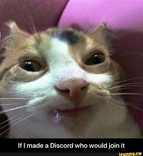 Cat Meme Discord Pfp