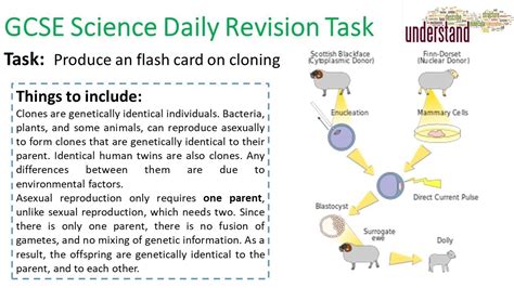 Gcse Science Daily Revision Task 137 Youtube