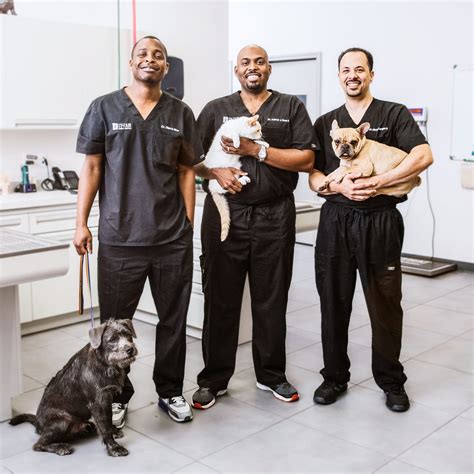 The Vet Life Watch Full Episodes And More Animal Planet