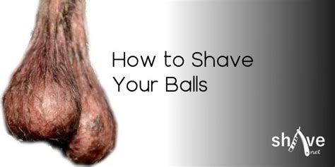 Testicle Shaving The Ultimate Guide To Shaving Your Balls Shave Net