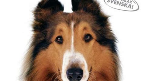 Lassie Trailer 2006