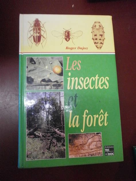 Les Insectes And La Forêt Rôle And Diversité Des Insectes Dans Le Milieu