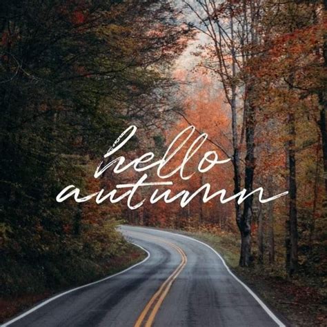 Hello Autumn Hello Autumn Halloween Wallpaper Wallpaper