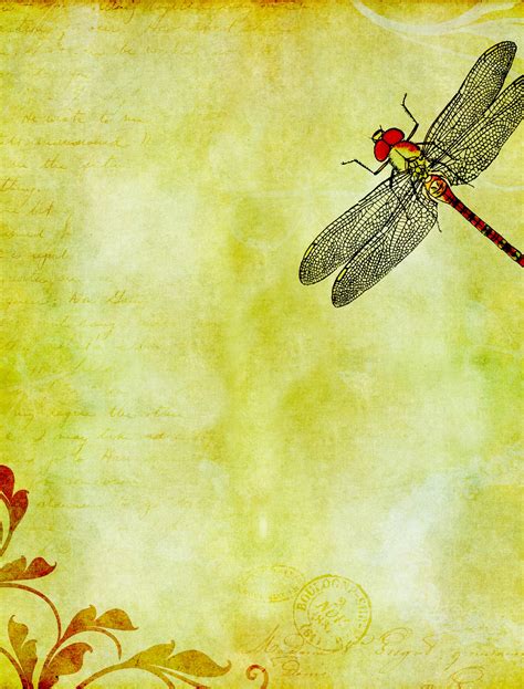 Dragonfly Watercolor Vintage Art Free Stock Photo Public Domain Pictures