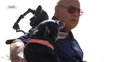 Hero Dog Saves Owner 81 From Drowning After Wheelchair Rolled Into