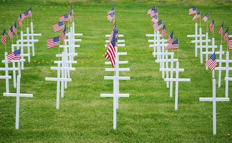Memorial Day Crosses And Flags Honoring Fallen Soldiers On Memorial