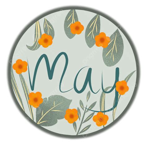 Hello May May Lettering May Spring Png Transparent Clipart Image And