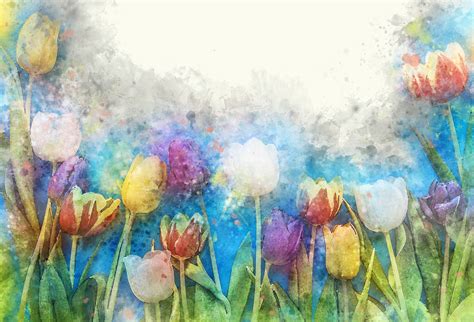 Watercolor Tulips Free Stock Photo - Public Domain Pictures