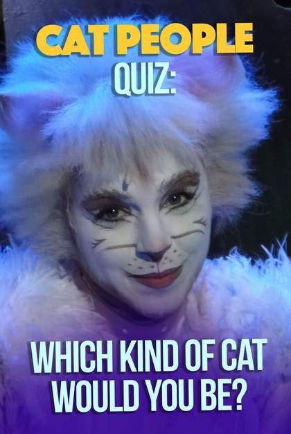 Cat People Quiz Which Kind Of Cat Would You Be Cat People Fun Quiz