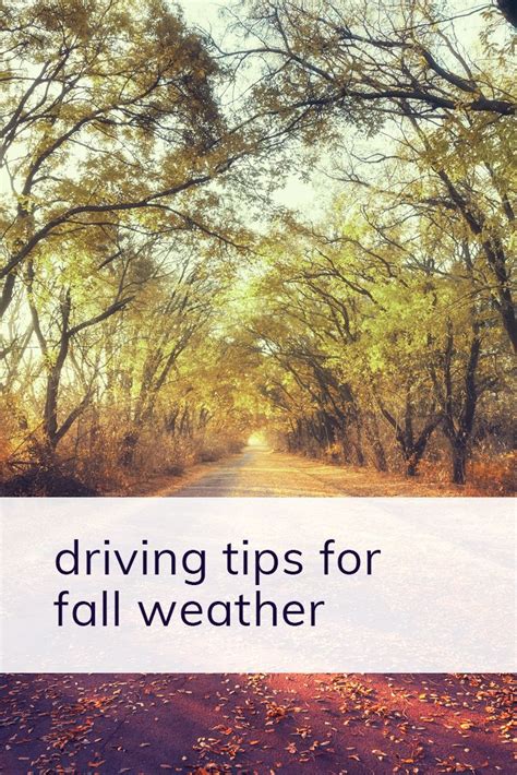 Driving Tips For Fall Weather Gold Law Firm