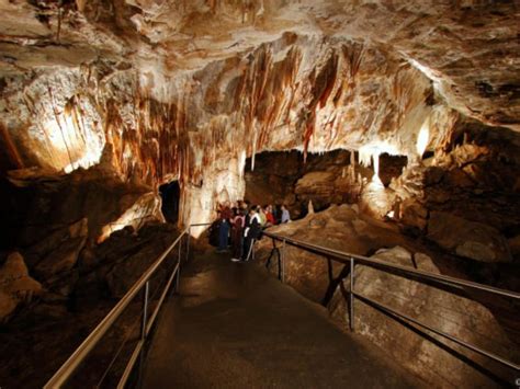 Full Day Blue Mountains And Jenolan Caves Tour From Sydney Tours