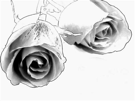 Find cash advance, debt consolidation and more at erwinnavyanto.in. Top 13 Flowers Sketches - Beautiful Sketching Flowers