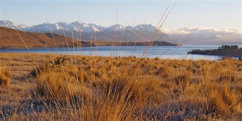The Best Day Hikes And Walking Trails In Tekapo Alpine Recreation