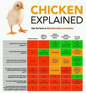 Chicken Chart Meat Chickens Animal Facts Why Vegan