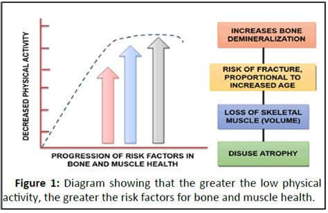 sedentary lifestyle in the elderly and its association with the d