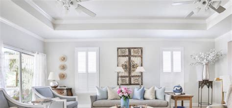 Paint Tray Ceiling With Accent Wall - Backyard Design