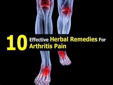 10 Effective Herbal Remedies For Arthritis Pain