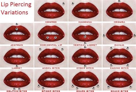 Piercing Tattoo Piercing Facial Piercing Chart Piercing Jewelry Lip