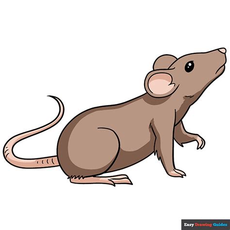 How To Draw A Rat Really Easy Drawing Tutorial
