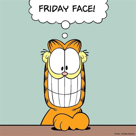 Garfield Friday face | Friday quotes funny, Its friday quotes, Friday humor
