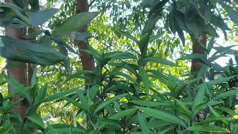 Nature's Architectural Wonders: Mountains, Canyons, and Cliffs - YouTube