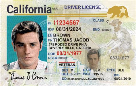 California Ca Drivers License Psd Template Download Templates