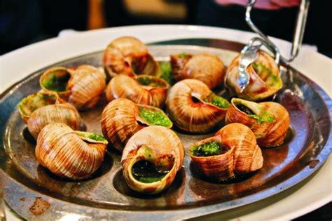 Edible Snails Where To Buy How To Grow And Cook These Dishes