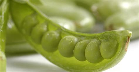 How To Make Homemade Baby Food Peas Livestrongcom