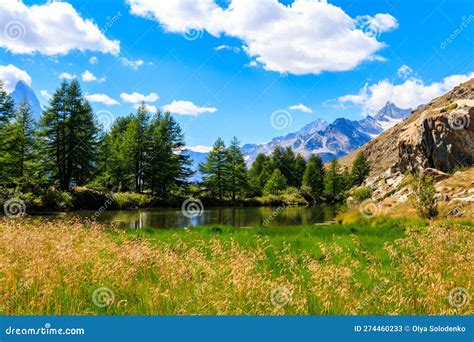 View Of Grindji Lake Grindjisee And Swiss Alps At Summer On Five Lake