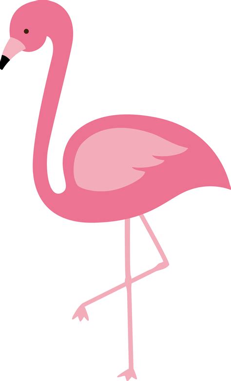 Flamingo Clipart Pink Flamingo Vector Flamingo Png Transparent Png